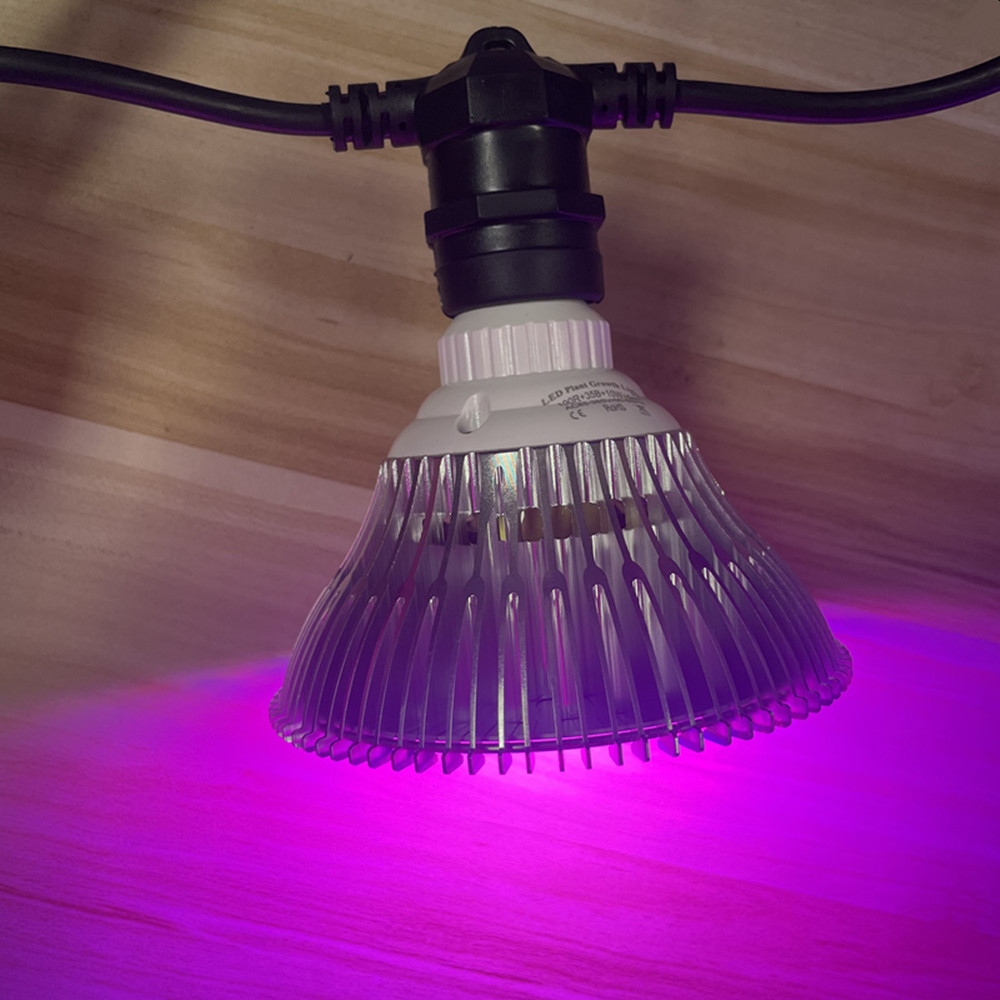 10M Cable LED String Commercia - Outdoor Lighting Guide ulasan dan harga